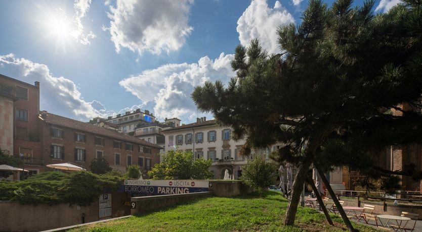 Photo of Magnolia Milanese