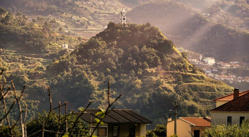 Photo of Filtered Golden Light