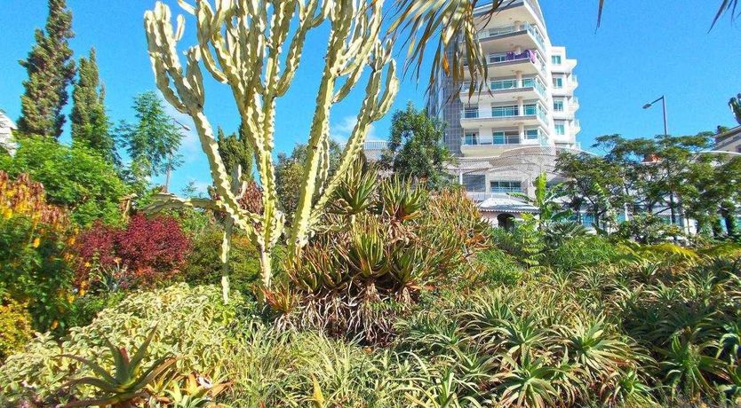 Photo of Sun-Soaked Senses