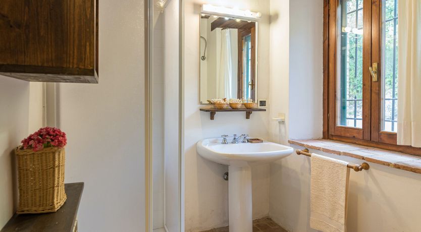 Photo of Green With Ivy