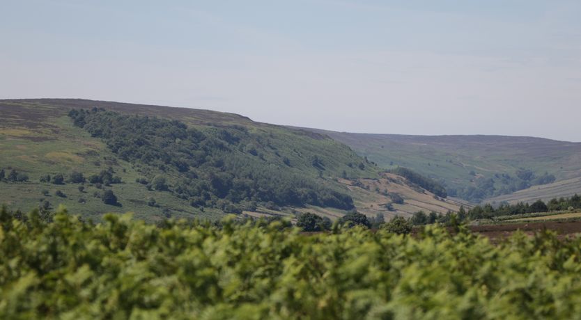 Photo of Richmond Cottage