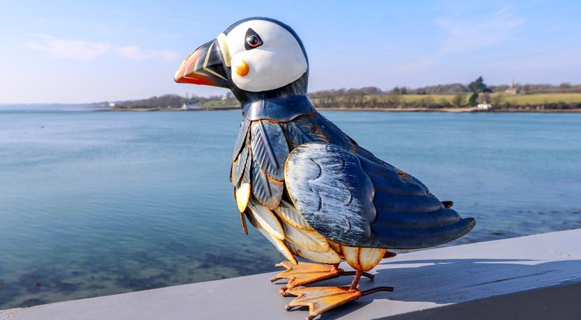 Photo of White Sails