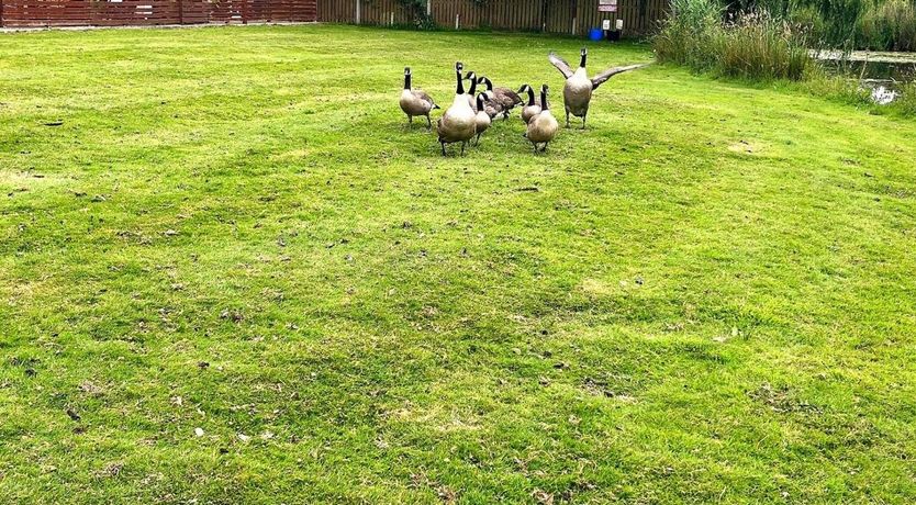 Photo of 2 Bed in East Ruston