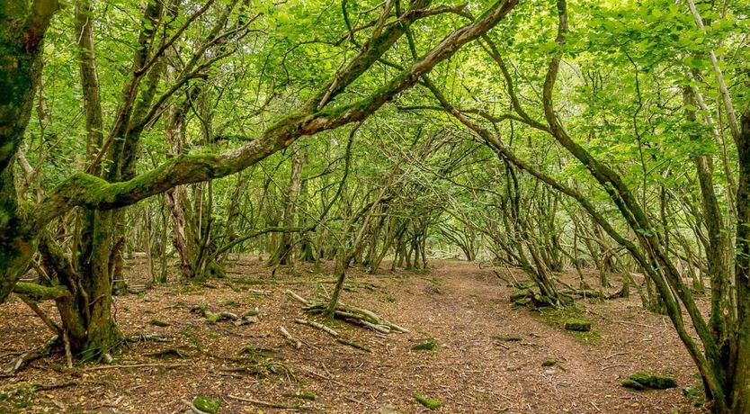 Photo of 1 Bed in Hay-on-Wye