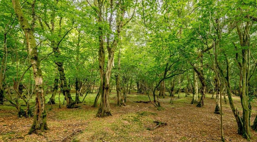Photo of 1 Bed in Hay-on-Wye