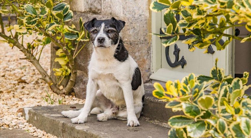 Photo of 4 Bed in Upper Vobster