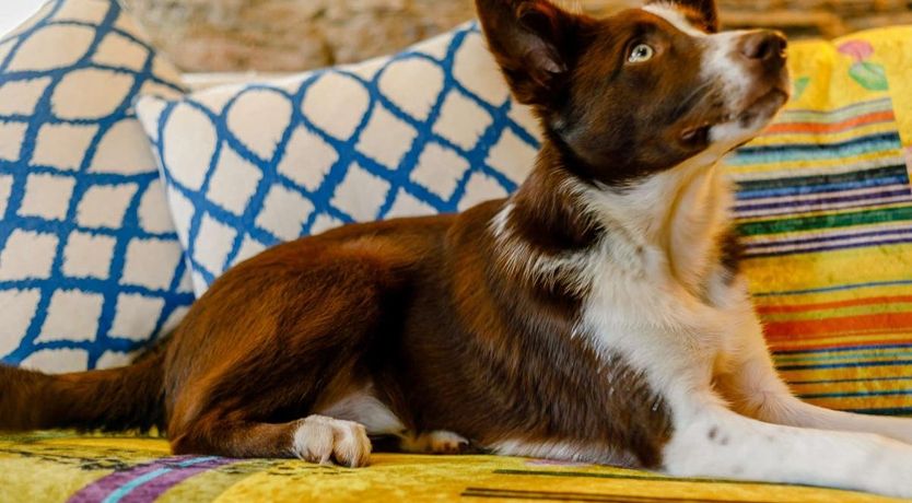 Photo of 1 Bed in Trerulefoot