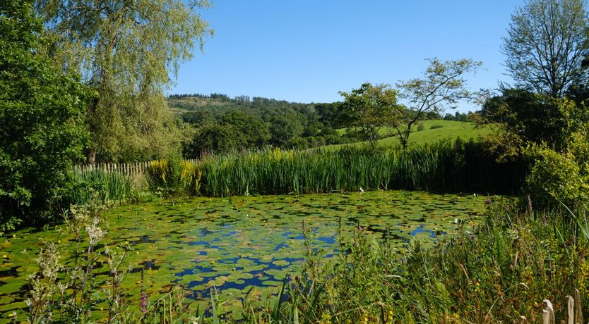 Photo of Orchard Cottage