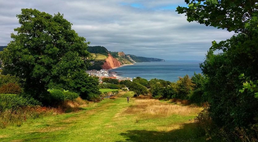 Photo of Olive Tree Cottage
