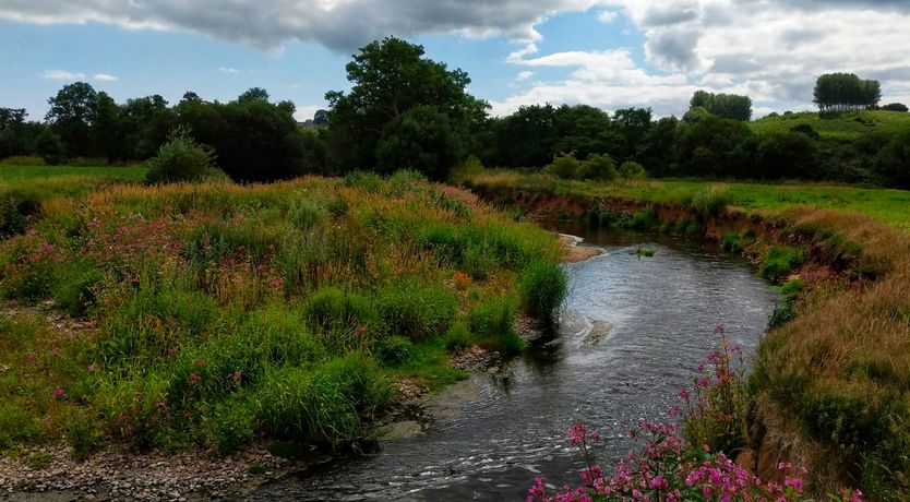 Photo of Olive Tree Cottage