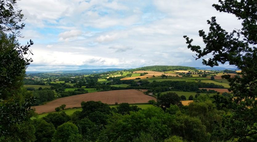 Photo of Olive Tree Cottage