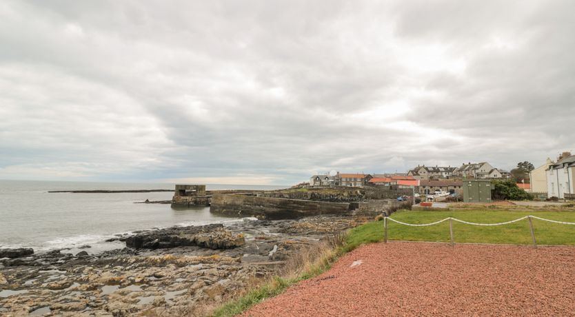 Photo of Summer Rose