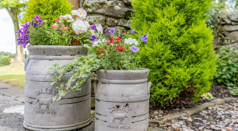Photo of Ingleborough View