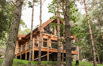 Pine Marten Lodge Holiday Cottage