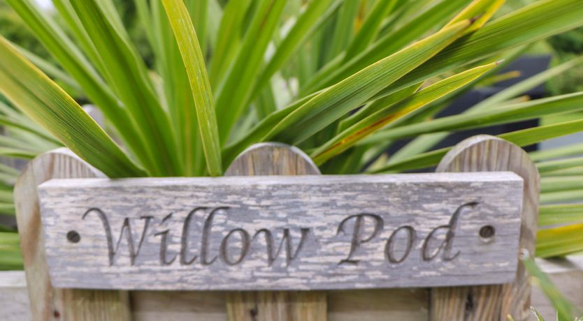 Photo of Willow Pod