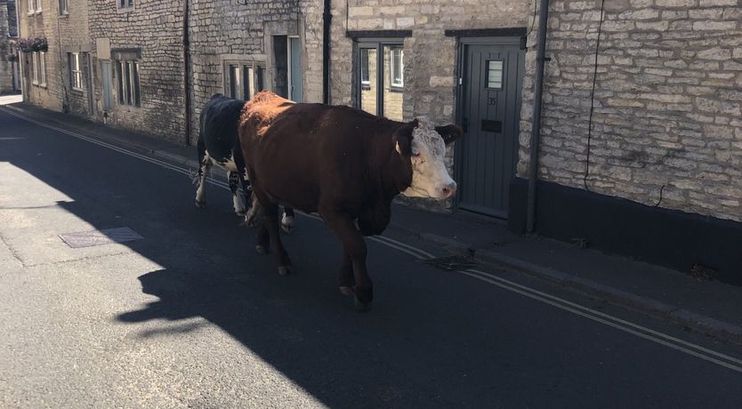 Photo of The Snug No 35 West End