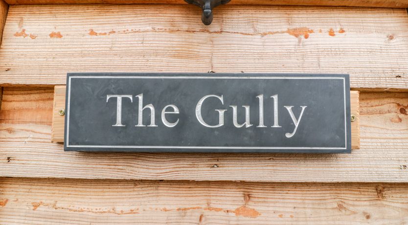Photo of The Gully