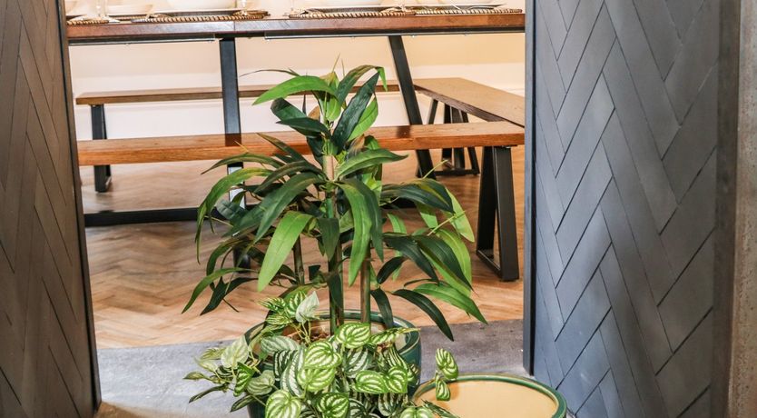 Photo of Springdale House