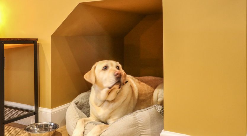 Photo of Feus Holiday Cottage