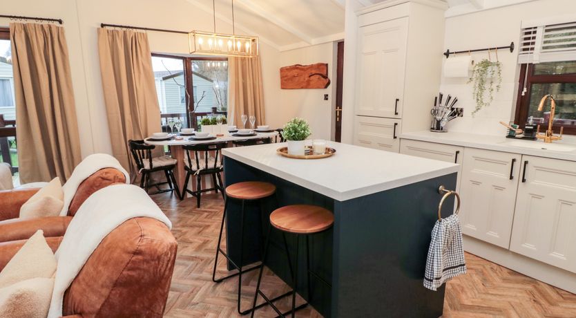 Photo of The Treeline