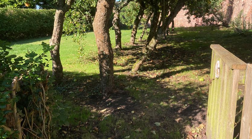 Photo of Orchard Cottage