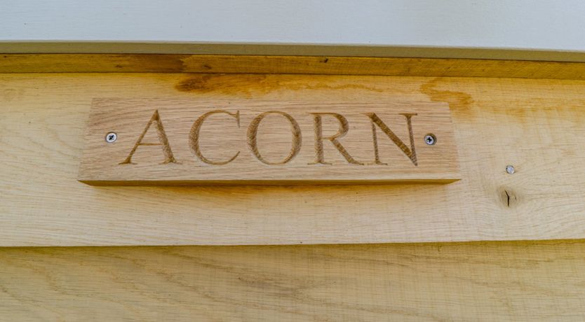 Photo of Acorn