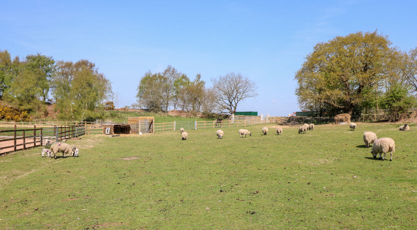 Photo of Churn Dash Cottage