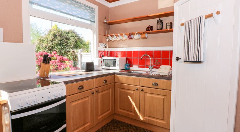 Photo of Meadowsweet