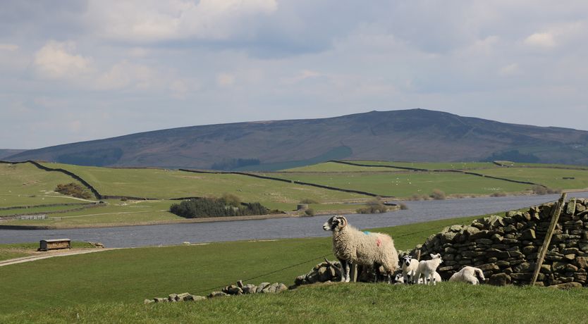 Photo of Darrowby Barn