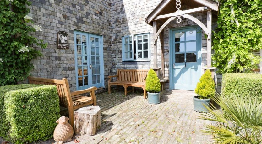 Photo of Squirrels Dray