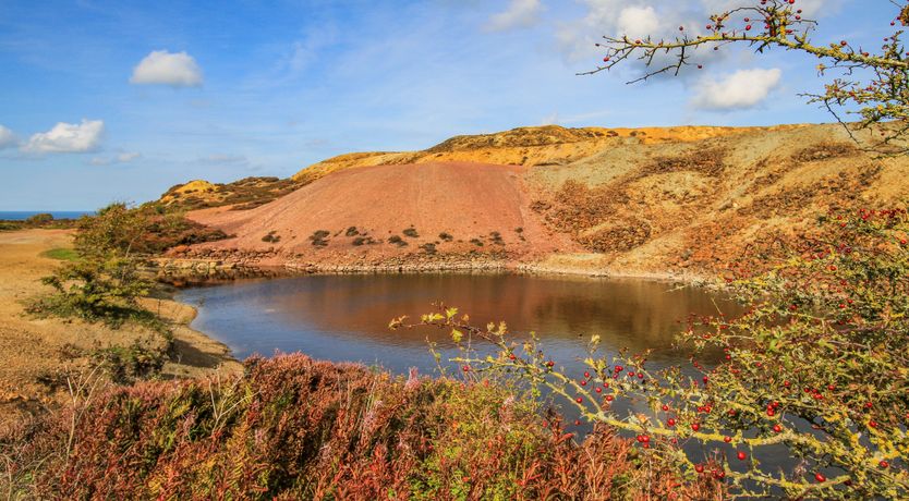 Photo of Ty Bach Twt