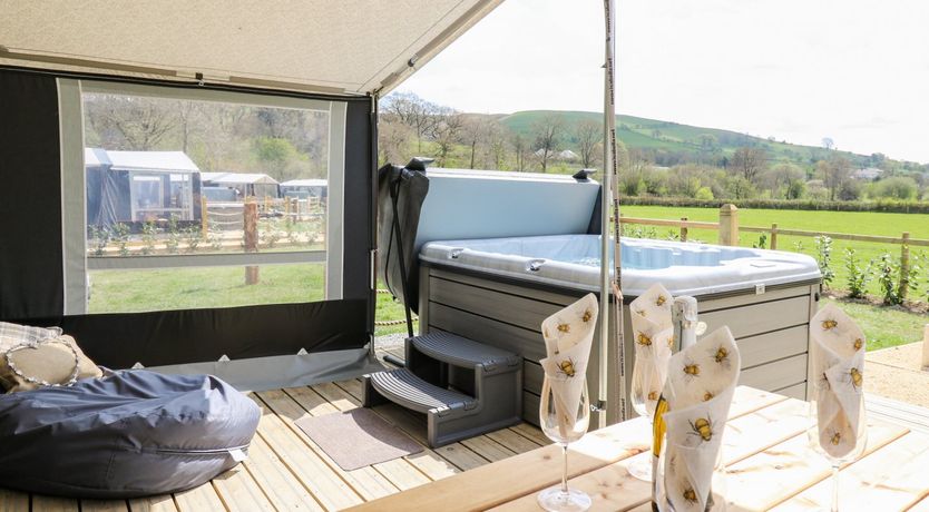 Photo of The Kingfisher