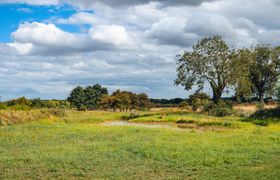 Photo of veiko-mayflower-meadow