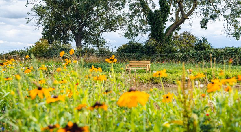 Photo of Veiko - Mayflower Meadow