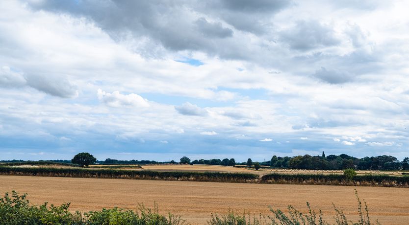 Photo of Veiko - Mayflower Meadow
