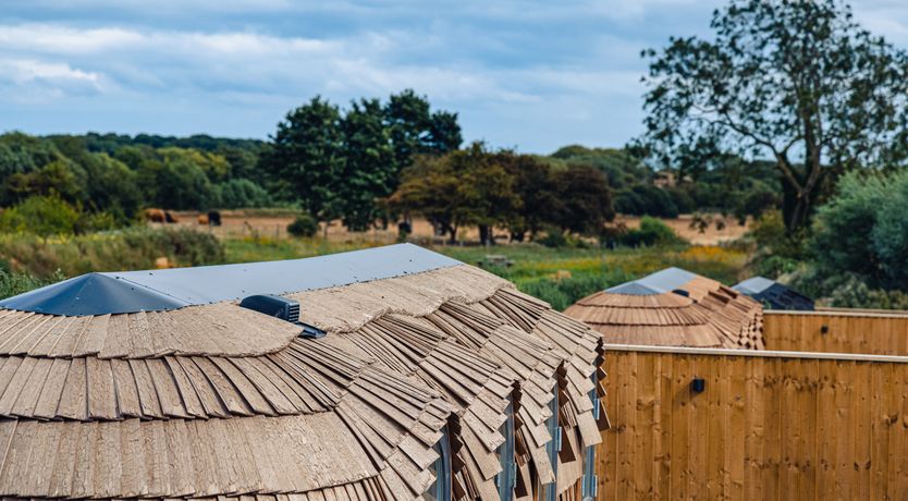Photo of Veiko - Mayflower Meadow