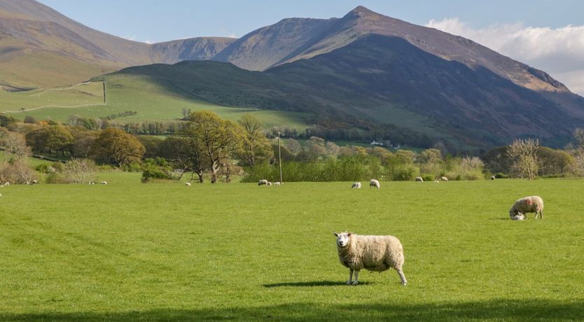 Photo of Scale Force