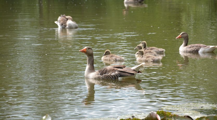 Photo of Quill Farm Barn