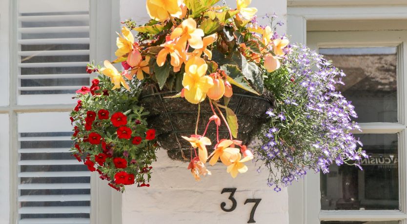 Photo of Cuckoo Cottage