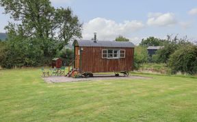 Photo of Brown Hare Shepherds Hut