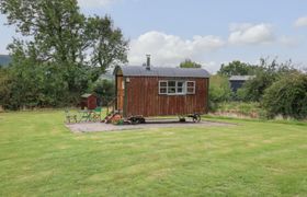 Photo of brown-hare-shepherds-hut