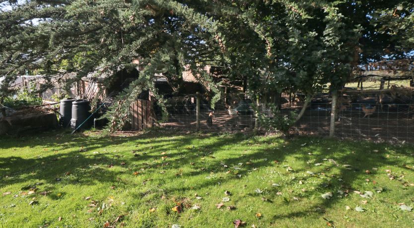 Photo of The Shepherd's Rest