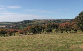 Photo of The Shepherd's Rest