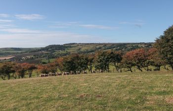 The Shepherd's Rest Holiday Cottage