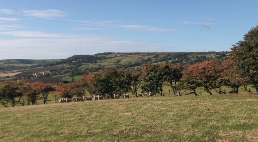 Photo of The Shepherd's Rest