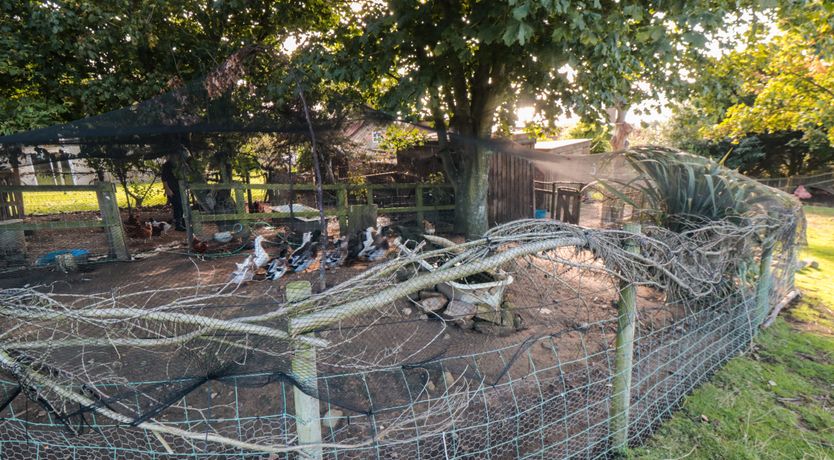 Photo of The Shepherd's Rest