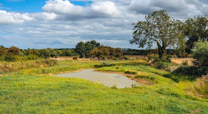 Photo of Andrus - Mayflower Meadow