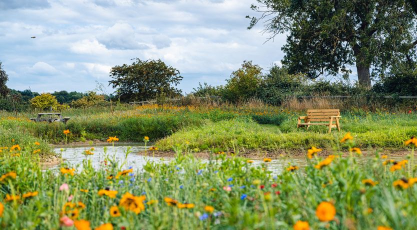 Photo of Andrus - Mayflower Meadow