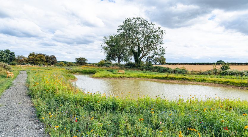Photo of Andrus - Mayflower Meadow