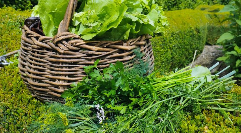 Photo of Kilmokea Holiday Rentals